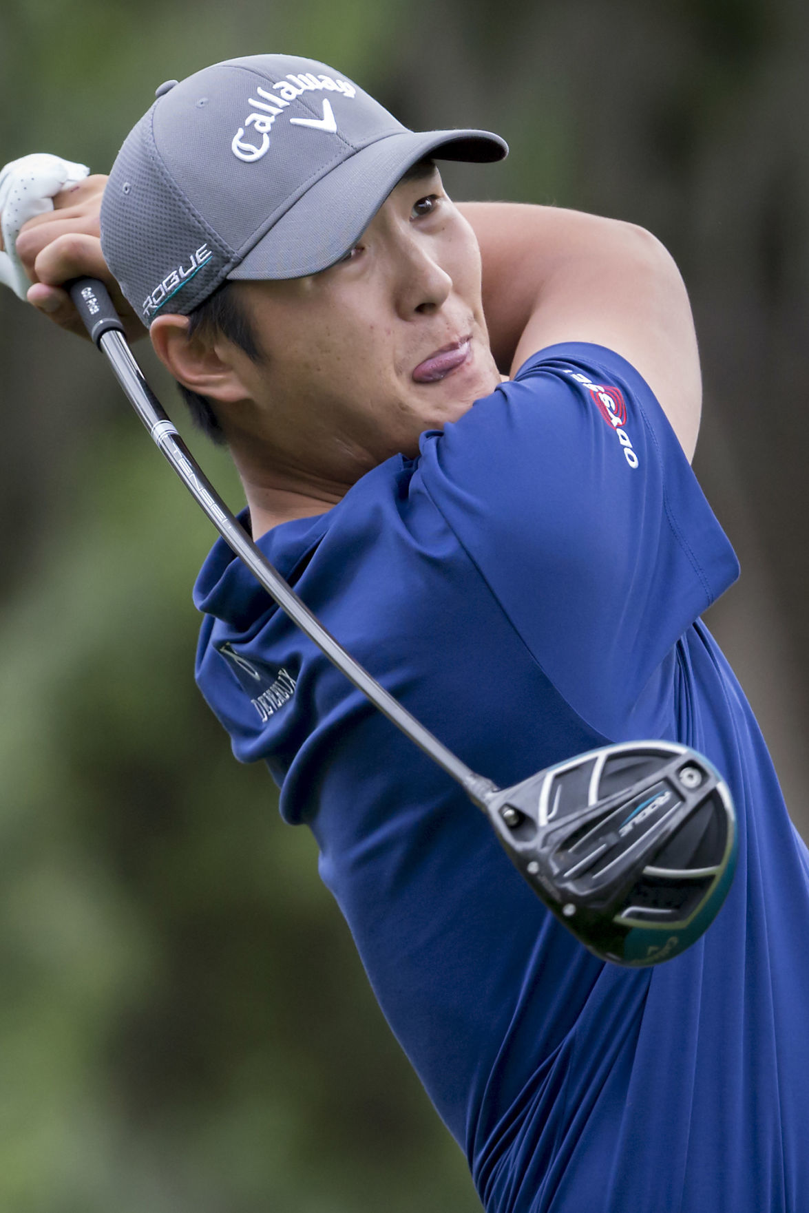 RBC Heritage Golf